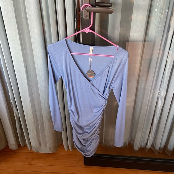 NEW Periwinkle Fitted Maternity/Nursing Dress - Picture 3 of 5